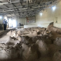 Maragha the Fossil Site