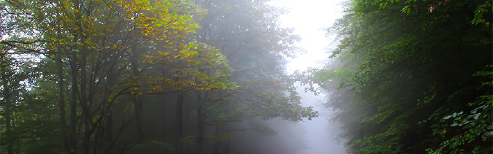 اسالم تا خلخال