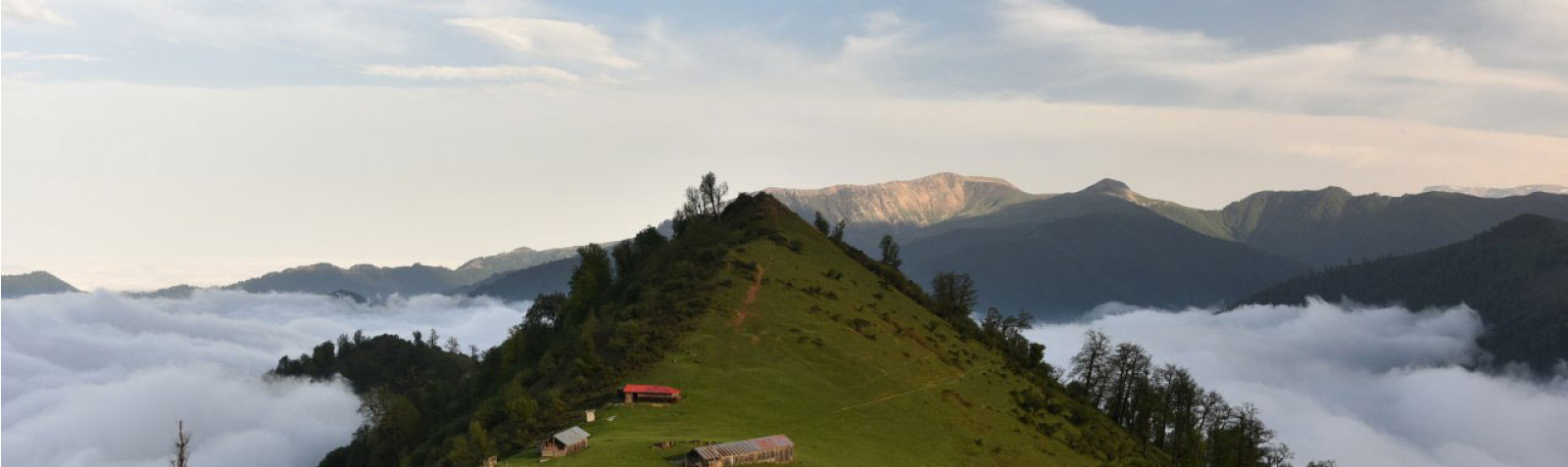 ریف اولسبلانگاه