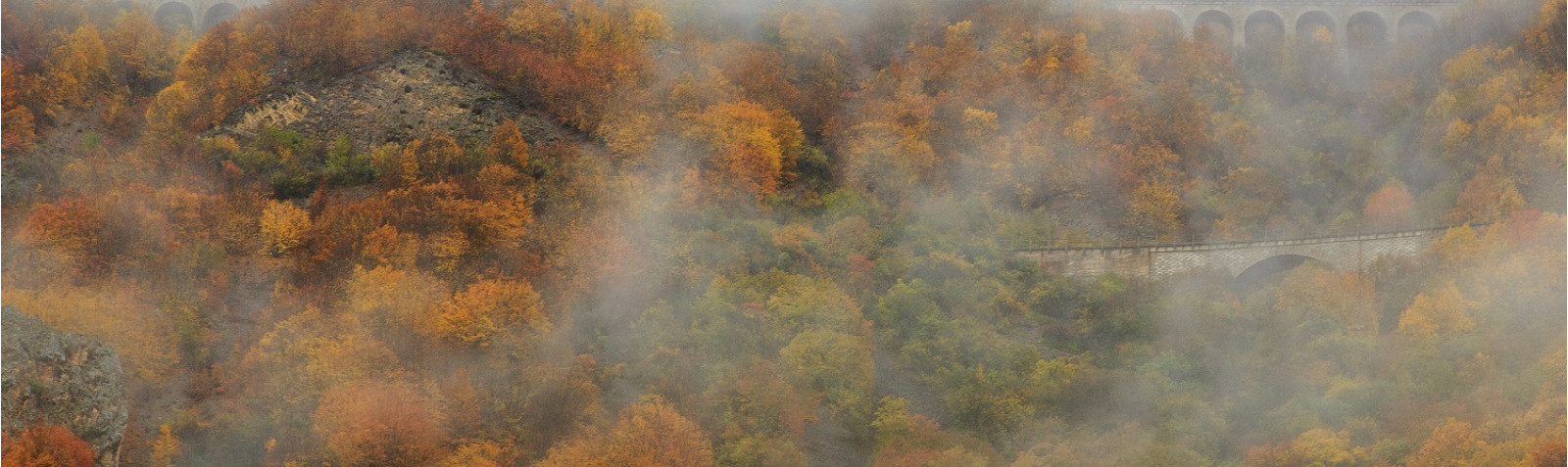 سكة حديد إيران الوطنية