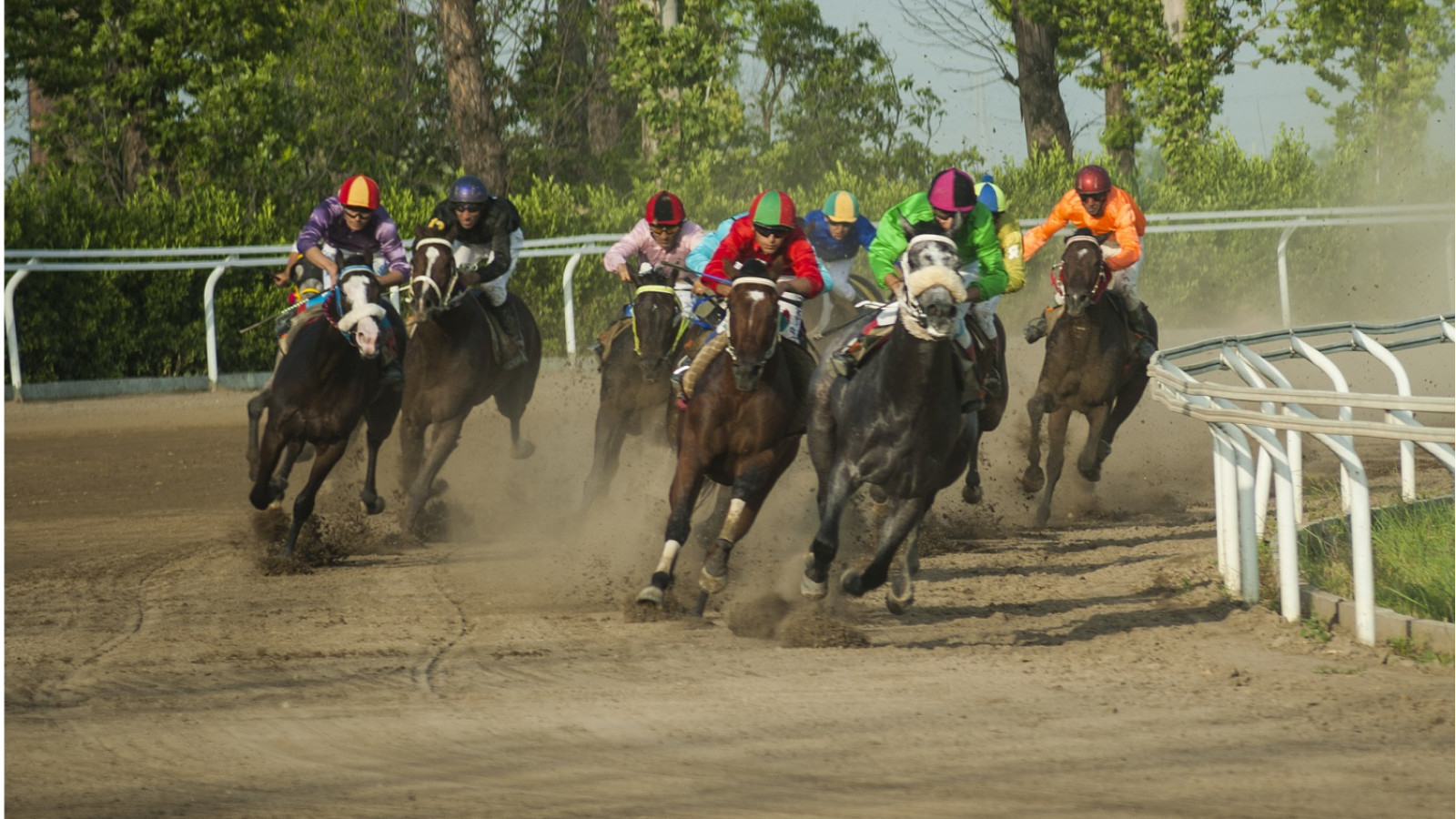 Las carreras de caballos de Gonbad (evento)