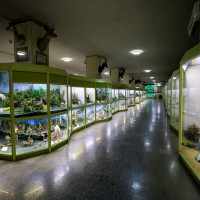 Hamedan Natural History Museum