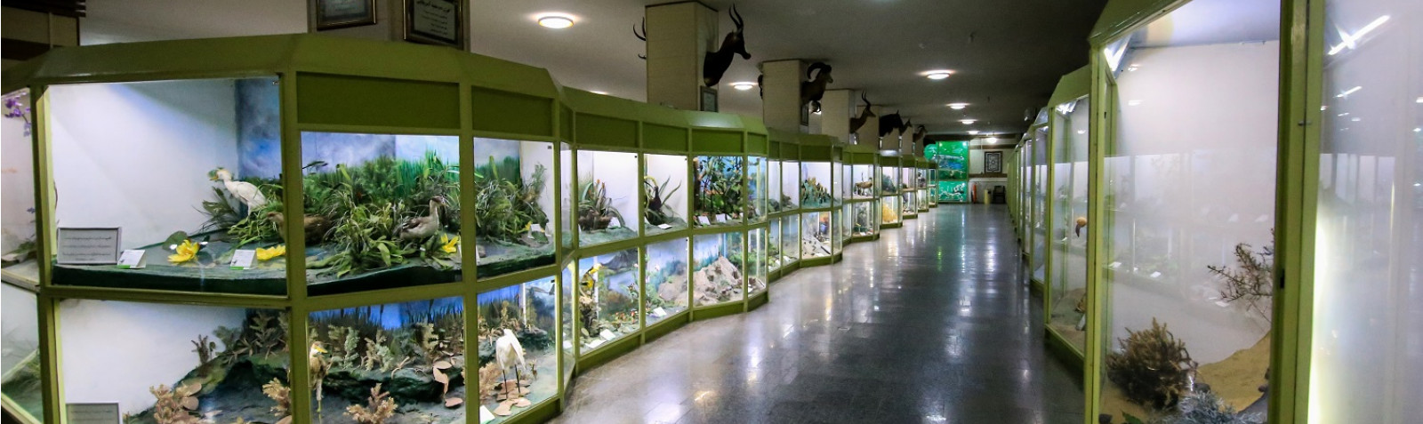 Hamedan Natural History Museum