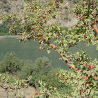 Marmisho Lake