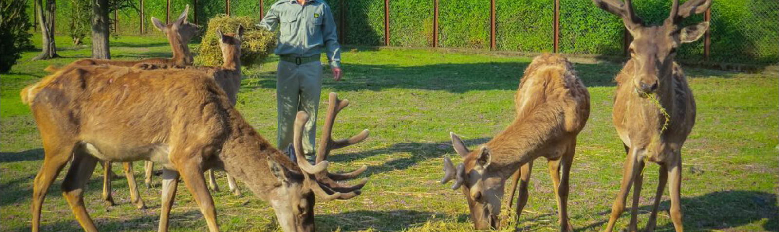 پناهگاه حيات وحش لوندويل