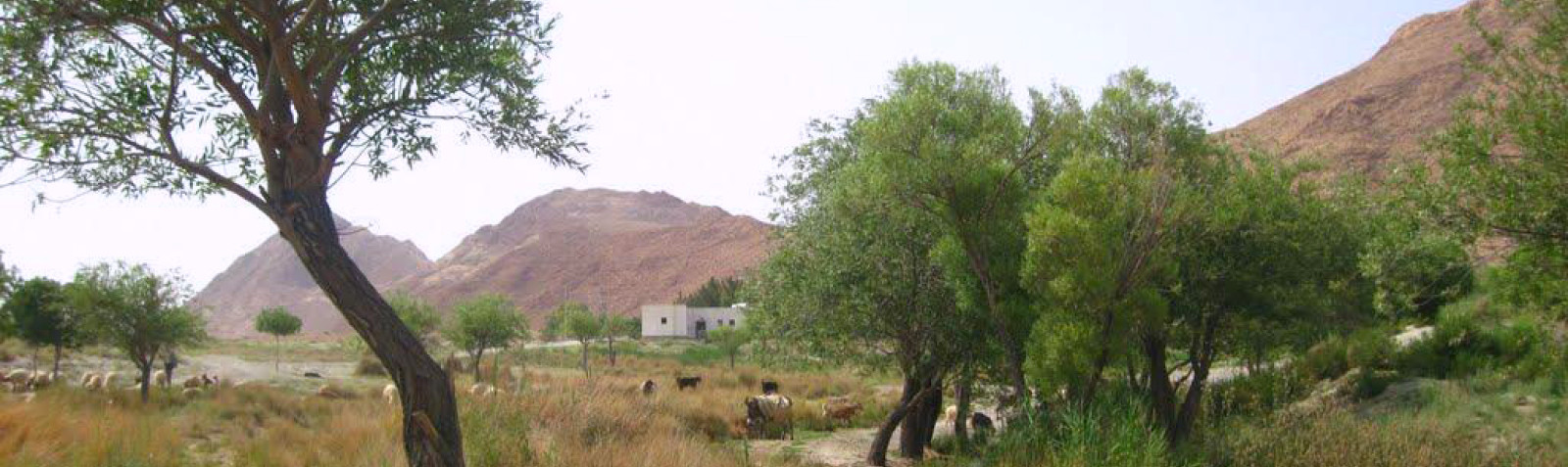 Harat Headwaters Area