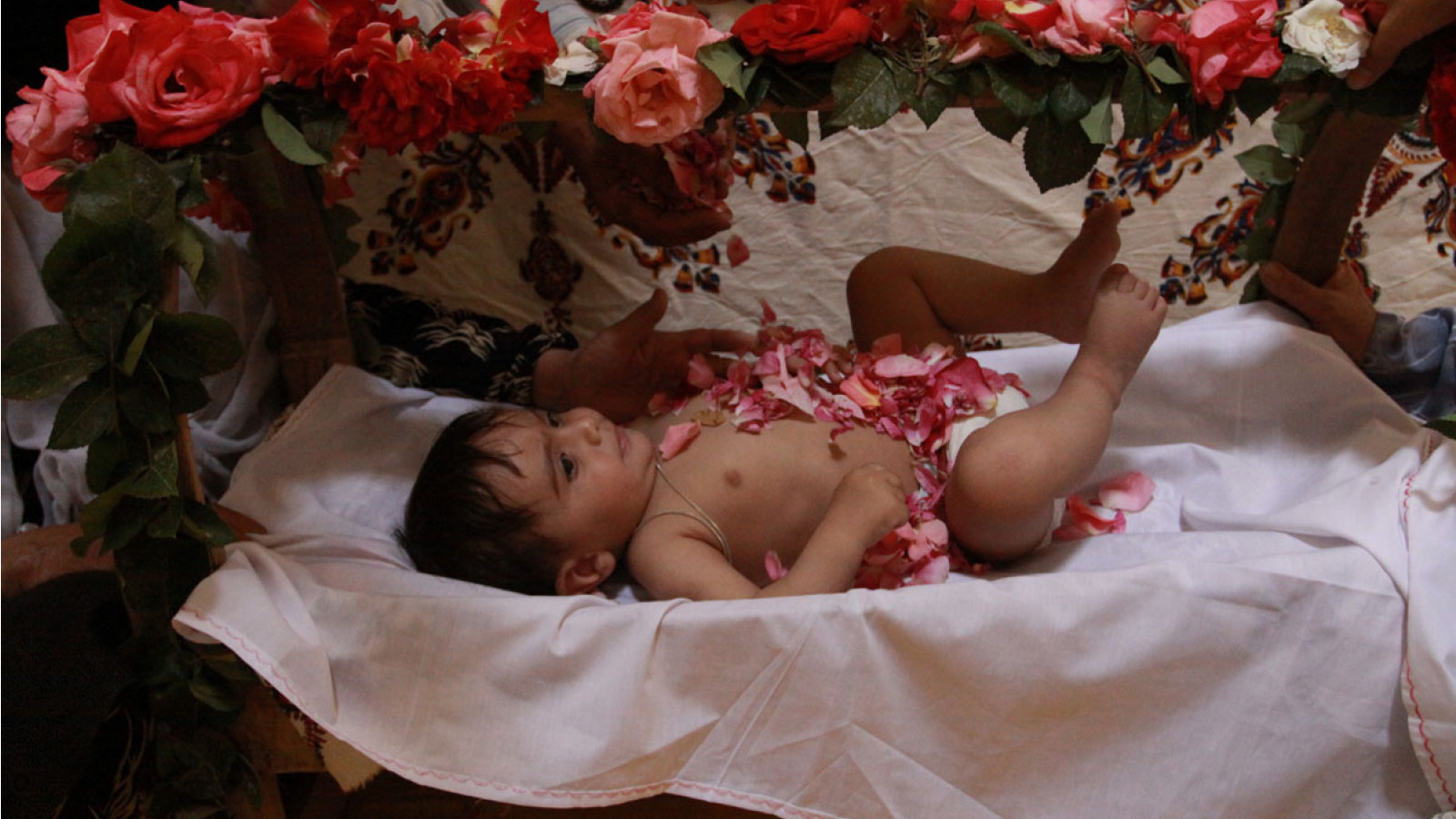 گُل  غَلتان