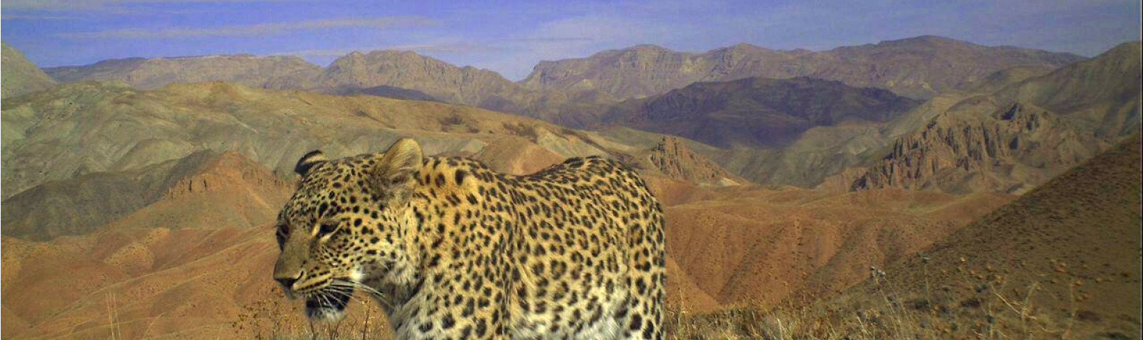 Sari Gol National Park