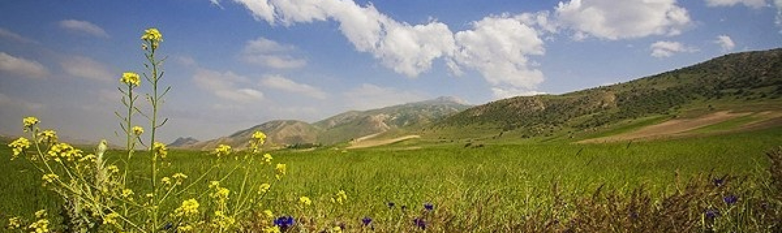 منطقه نمونه گردشگری استانی میلانلو