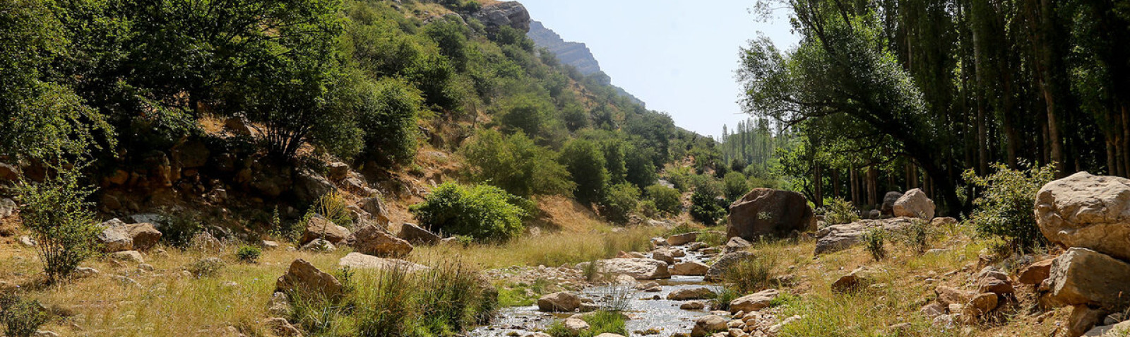 Mian Dasht Wildlife Refuge