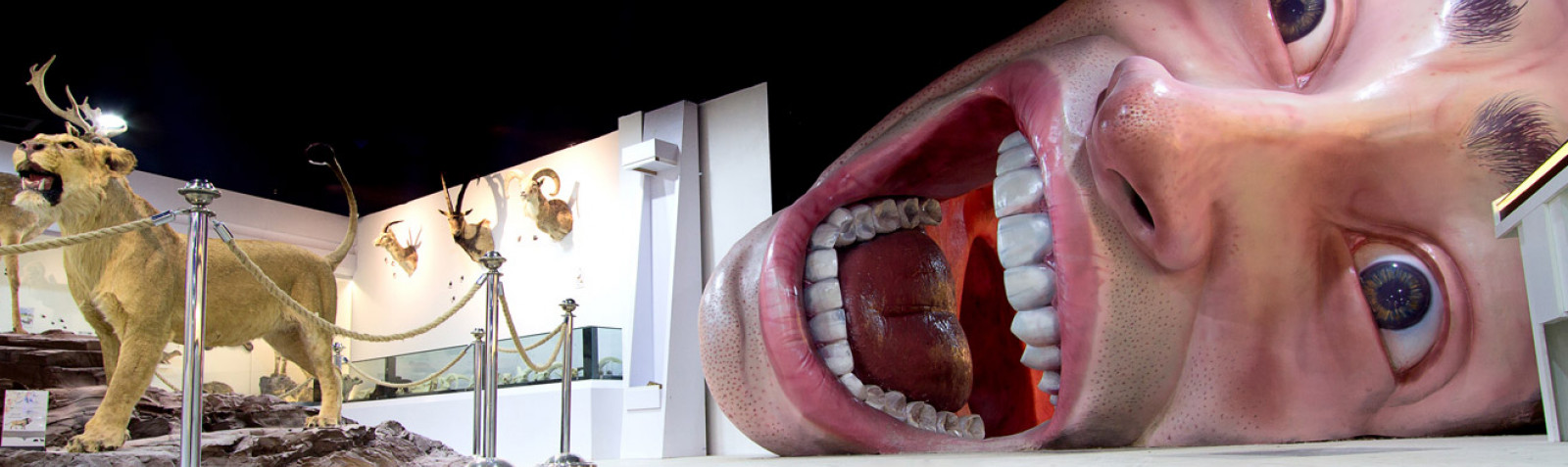 حديقة الإنسان في طهران (متنزةهیومن)