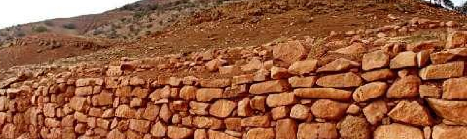 Sorkh Domlaki