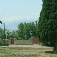 Ciprés de Harzevil