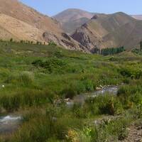 تنگه واشی