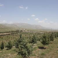 پارک باراجین