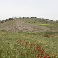 پارک باراجین