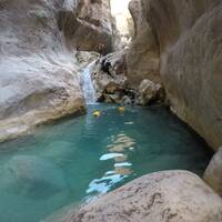 تنگ رغز