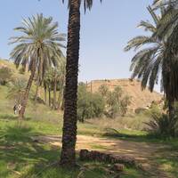کول خرسان