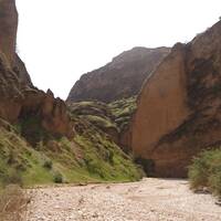 کول خرسان