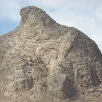 عقاب کوه