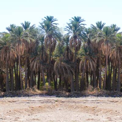 323 کیلومتر مسیر عجیب بم تا زاهدان