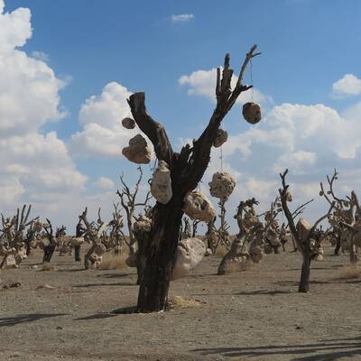 الحديقة الصخرية