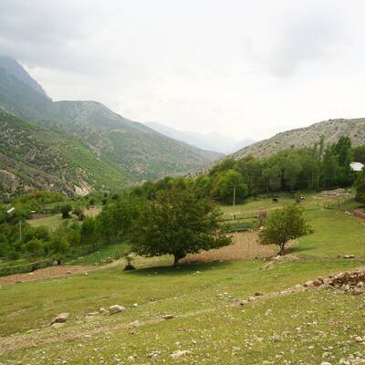 منطقة محمية برور