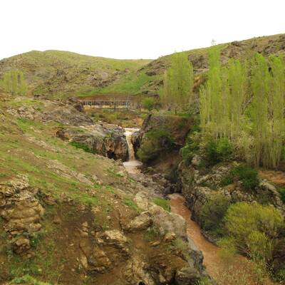 پارک جنگلی باراجین