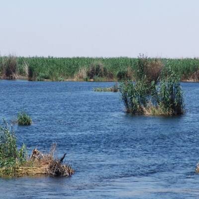 بحيرة (منطقة رطبة) هور العظيم