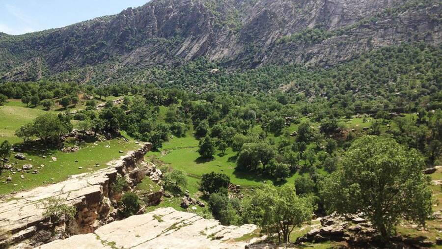 تنگه رازیانه