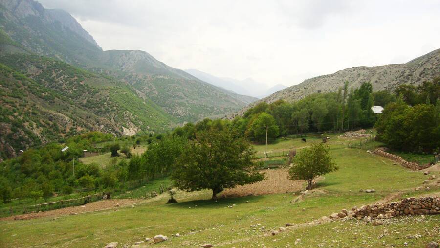 منطقه حفاظت شده پرور