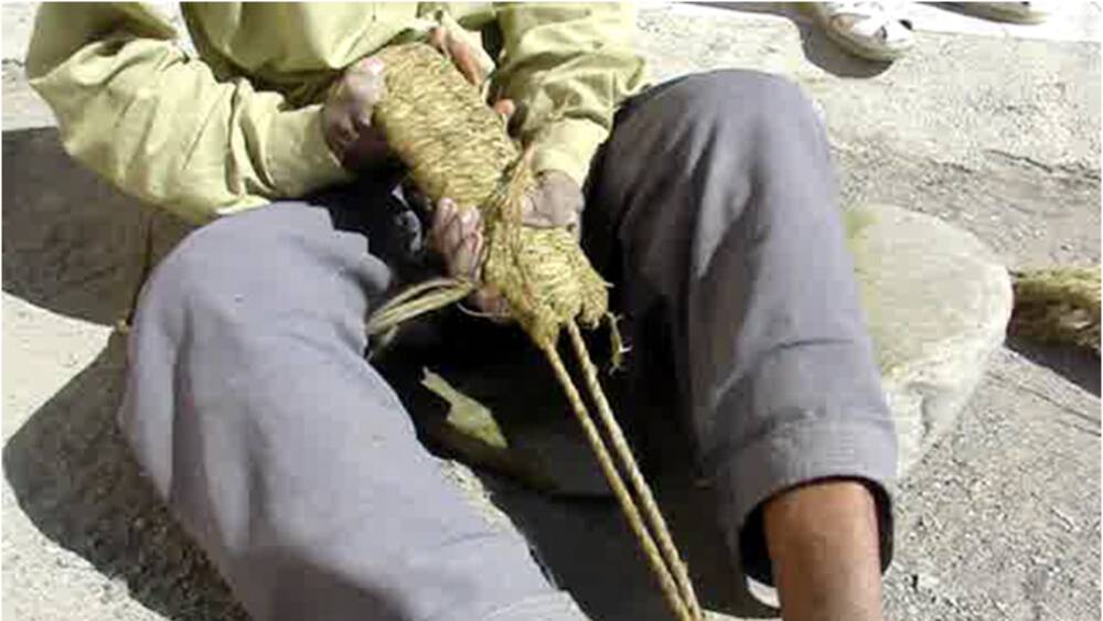 Sovas Weaving (Hormozgan)