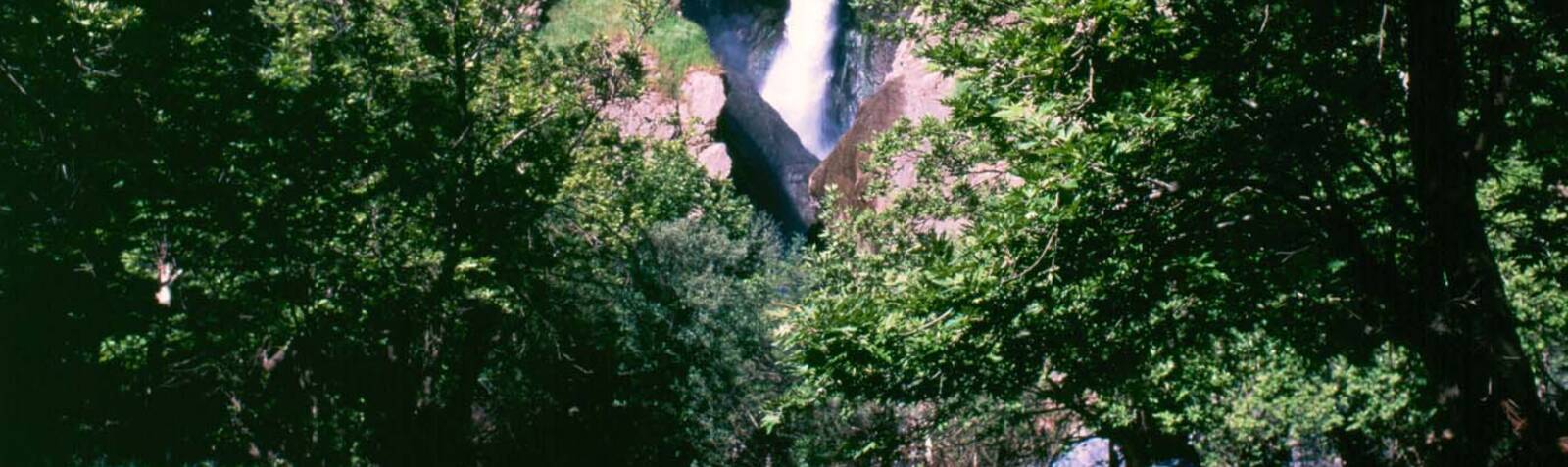The North of Northwest