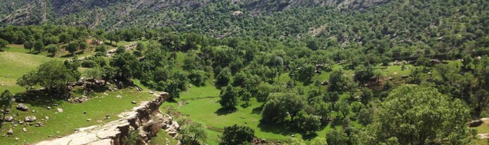 تنگه رازیانه