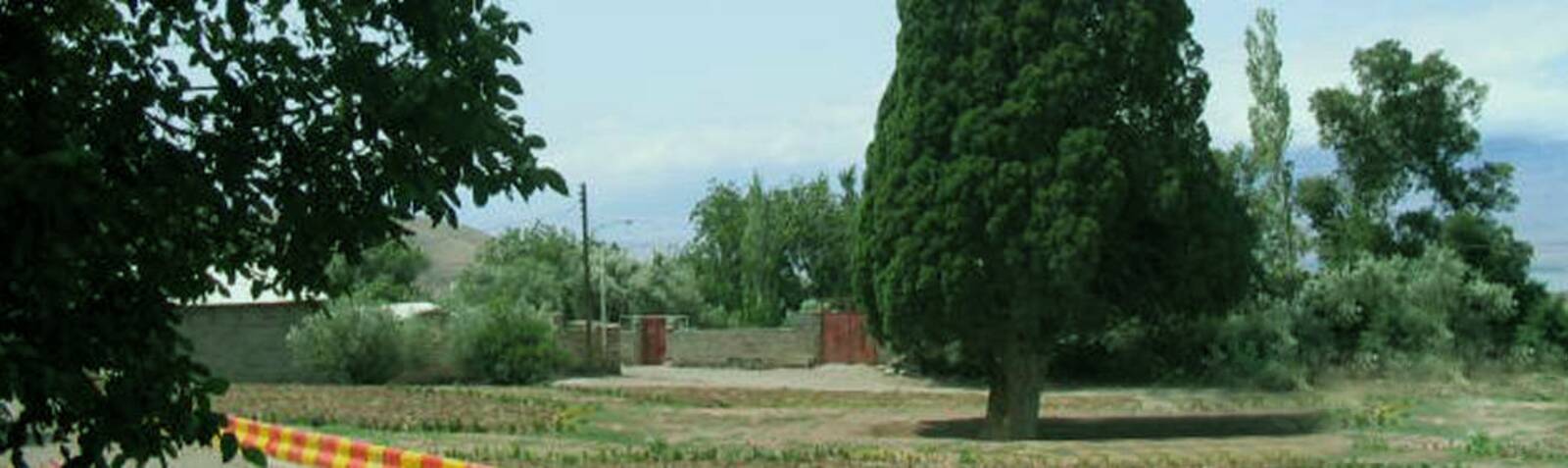 Ciprés de Harzevil