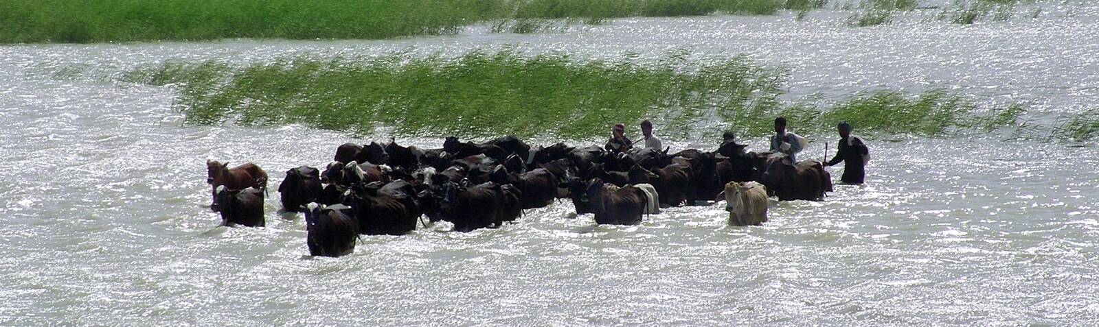 Hamoun Lake